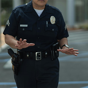 neighborhood security